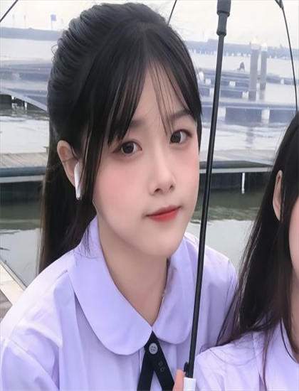 热门：《乌龟也上网》开场分析：第一印象与叙事建立